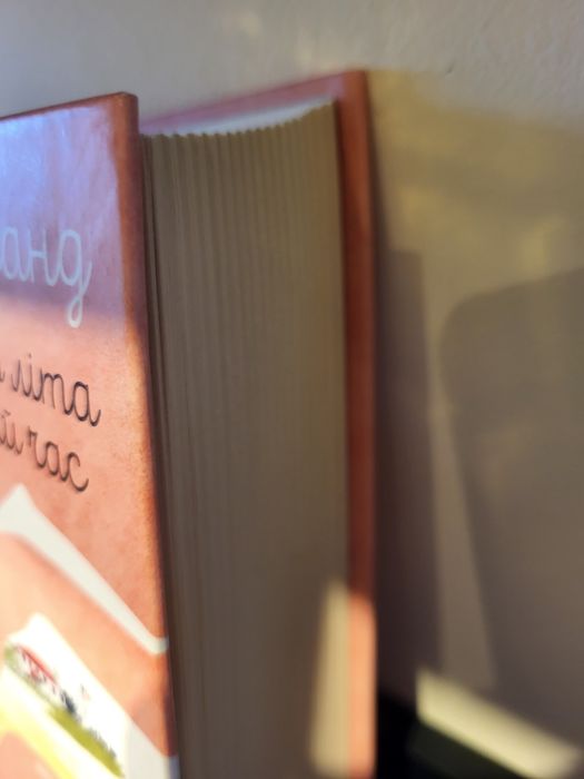 Книга 28. Наступного літа в той самий час