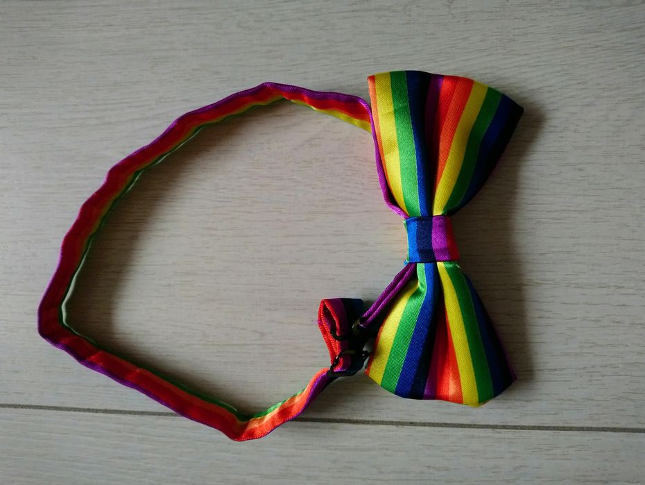 Метелик бабочка різнокольоровий