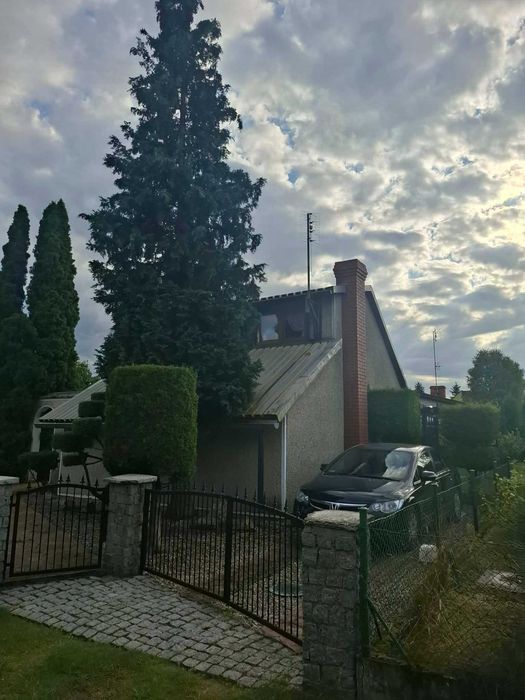 działka ROD Pod Żurawiem w Prądocinie