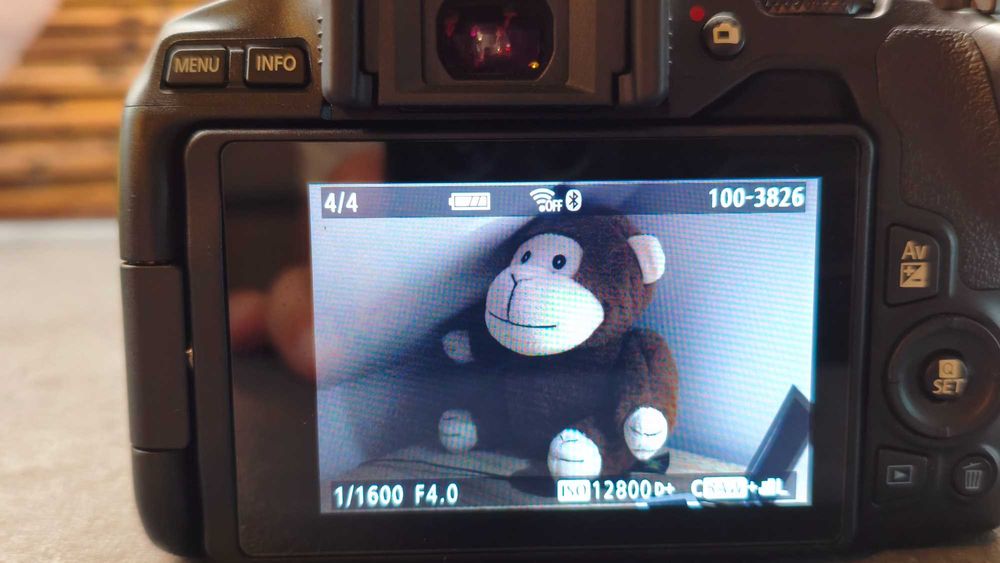 Canon EOS 250D + obiektyw EF-S 18-55mm – świetny aparat na start