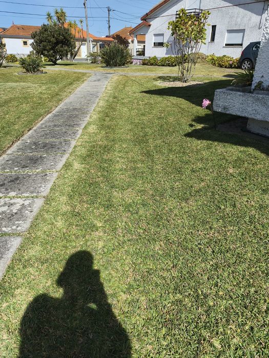 Jardins e afins com dedicação