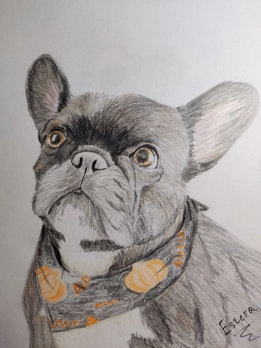 Малюю пухнастиків під замовлення