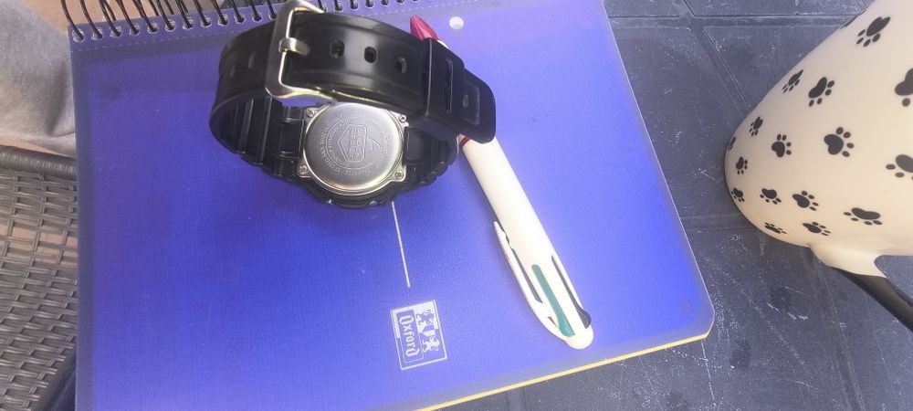 Casio G-Shock DW-5600E