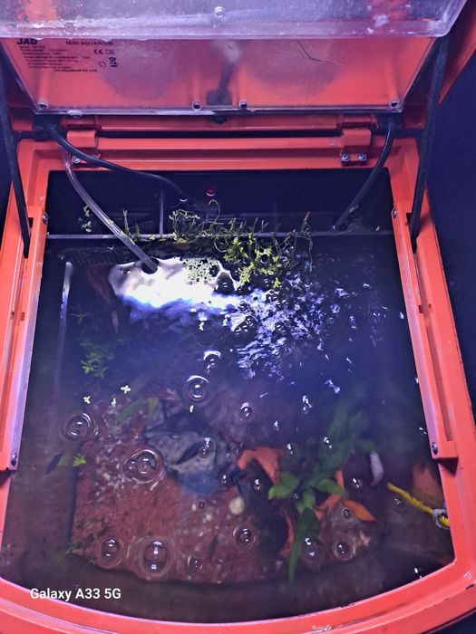 Aquario completo a trabalhar