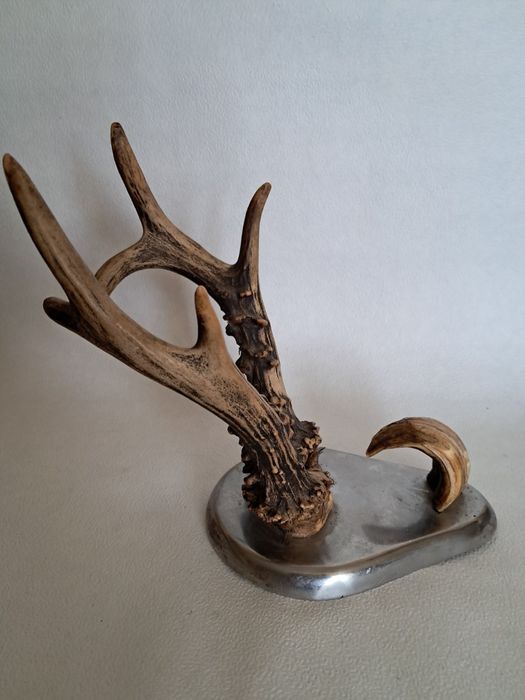 Рога козлика на подставке