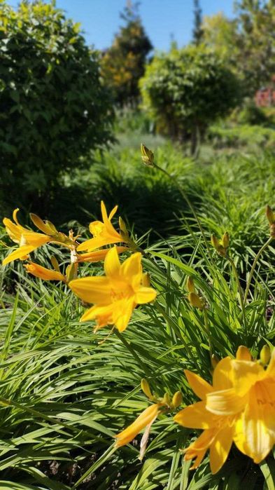 Лучшее предложение в  ЖМ Дайберг