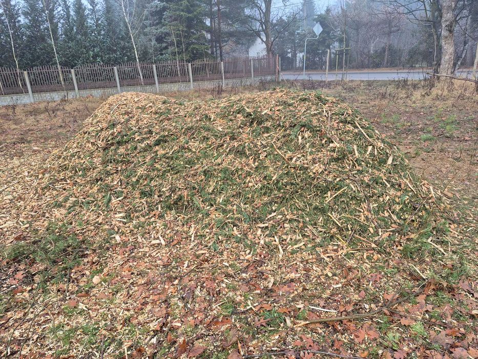 Sprzedam Zrębki sosnowe