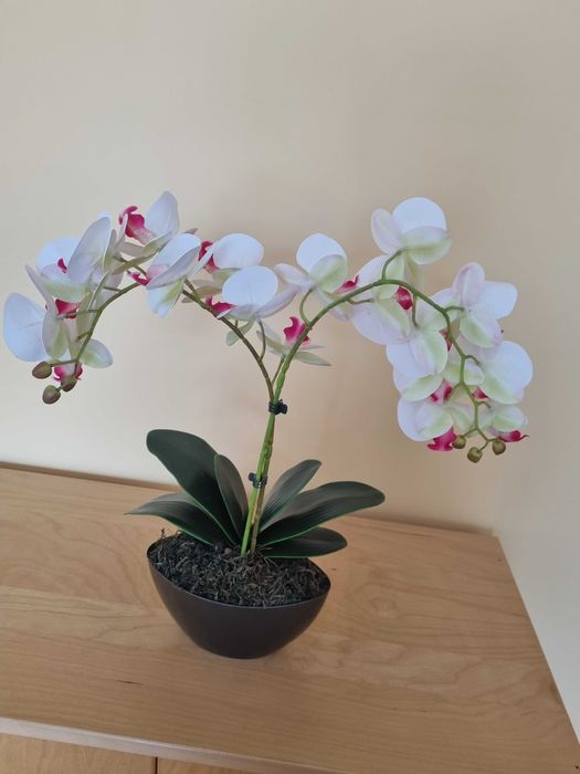 Stoczyk sztuczny w doniczce