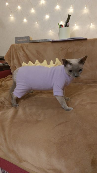 Комбинезон Динозавр -на кота - Размер М