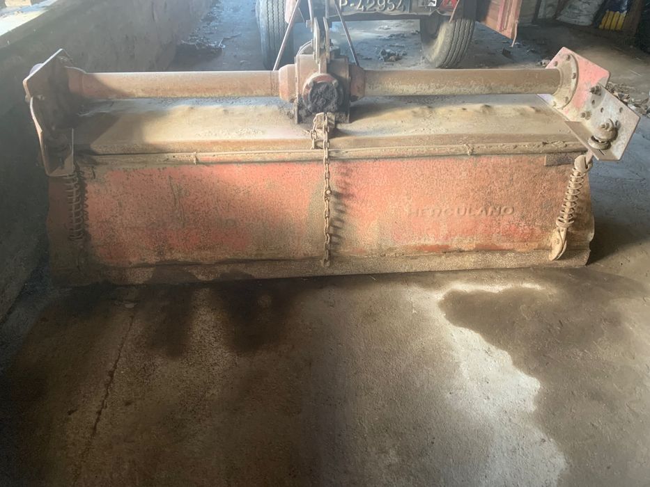 Fresa Herculano 1.80m