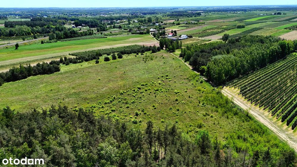 Działka 3,70 ha przy lesie- Żurawka, gmina Biała Rawska - Widok 3