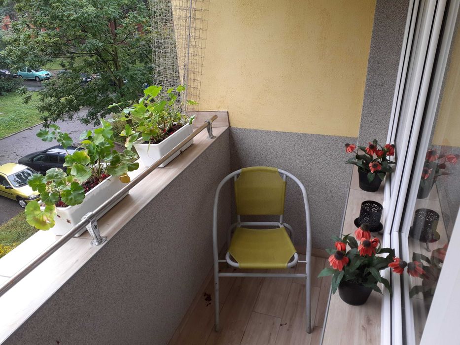 Mieszkanie (36 m². 2pok. balkon) na wynajem w Zabrzu-Rokitnicy. - Więcej