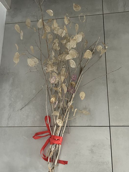 Bukiet duzy suszony