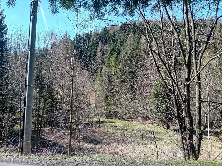 Działki w Zawoi na sprzedaż.