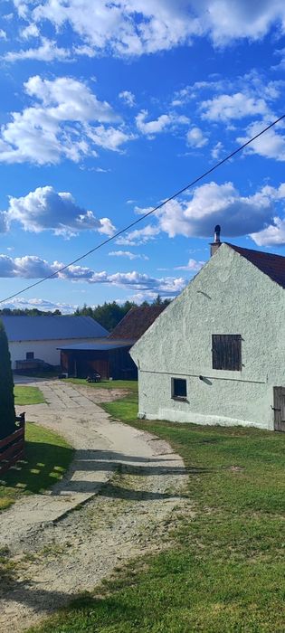 Gospodarstwo siedliskowe z dużą działką – Radzie, gm. Wydminy