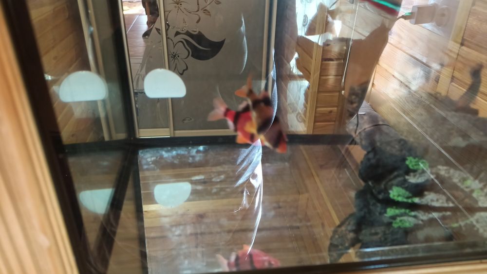 Акваріум продам на