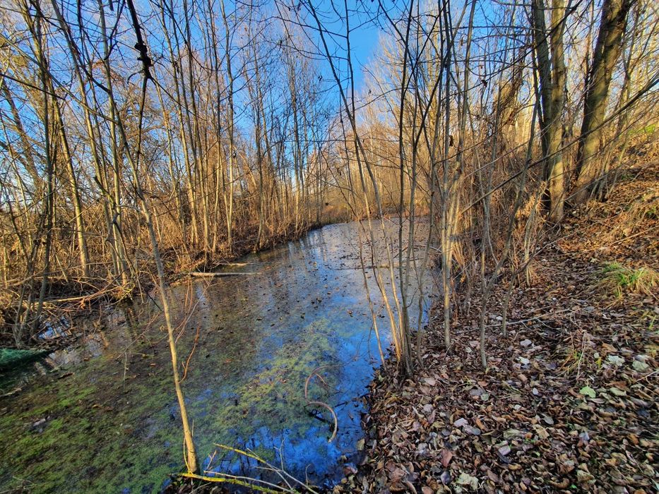 Будинок село Дніпровське (Повідов), Чернігівська область