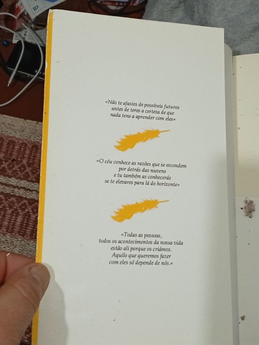 Ilusoes de Richard Bach