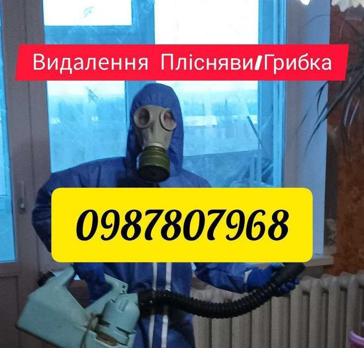 (Безкоштовно АКЦІЯ) Видалення Цвілі/Грибка. Грибок та Цвіль Плесень