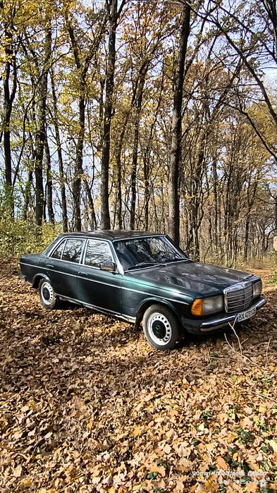 Mersedes W123 rest