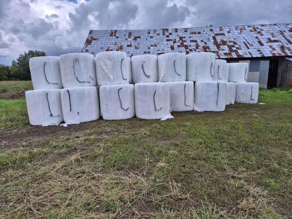 Sprzedam bele sianokiszonki rozmiar130 z 2025