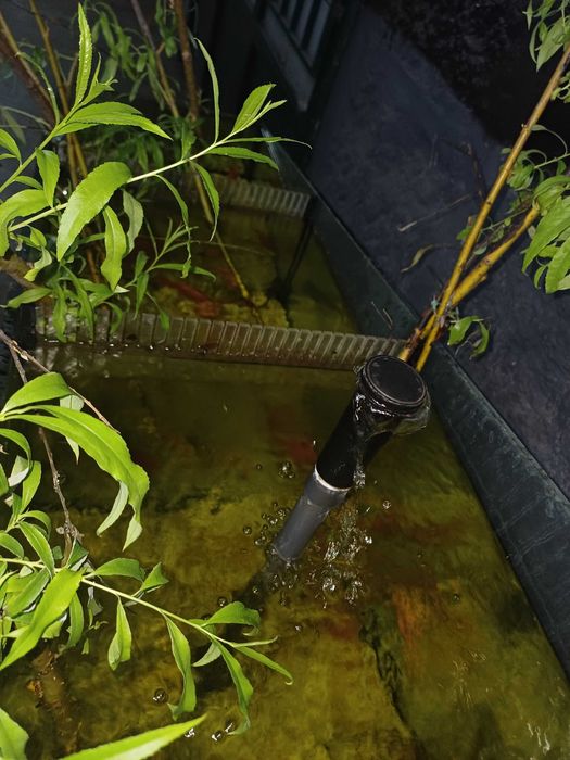 Aquário de tres tanques