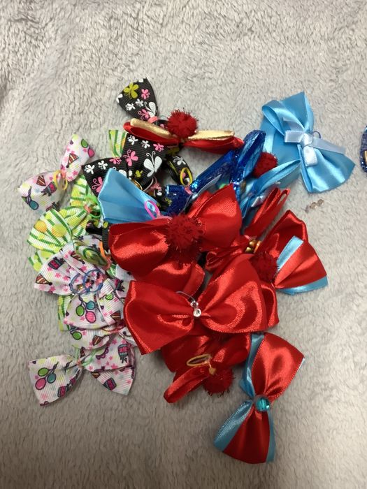 Laços e Gravatinhas para PET