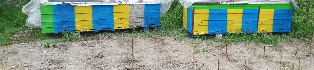 Продам секції 6x2 вуликів на українську рамку