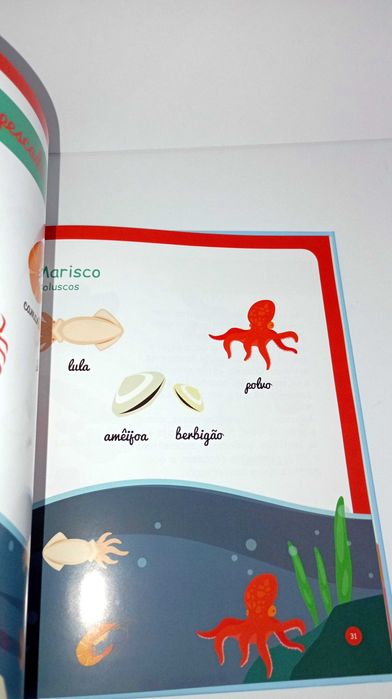 De Onde Vêm os Alimentos