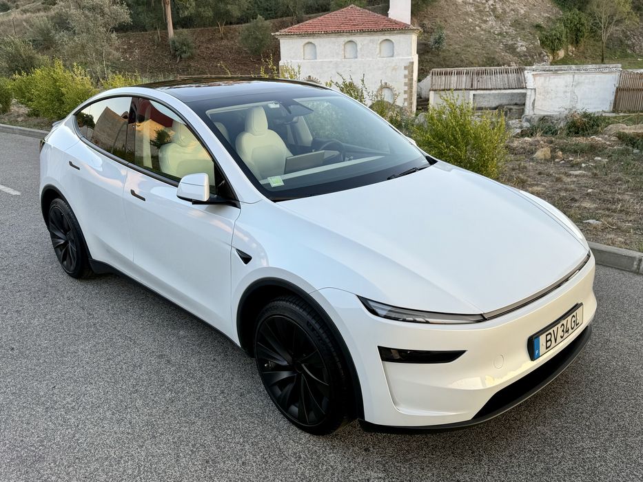 Tesla MY Juniper Rwd Long-Range - Extras Perf.