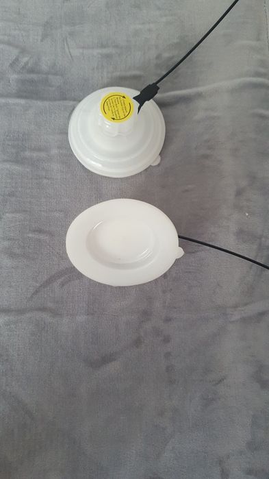 Cama gato para janela