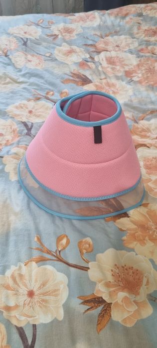Воротник ветеринарный для собак и котов.