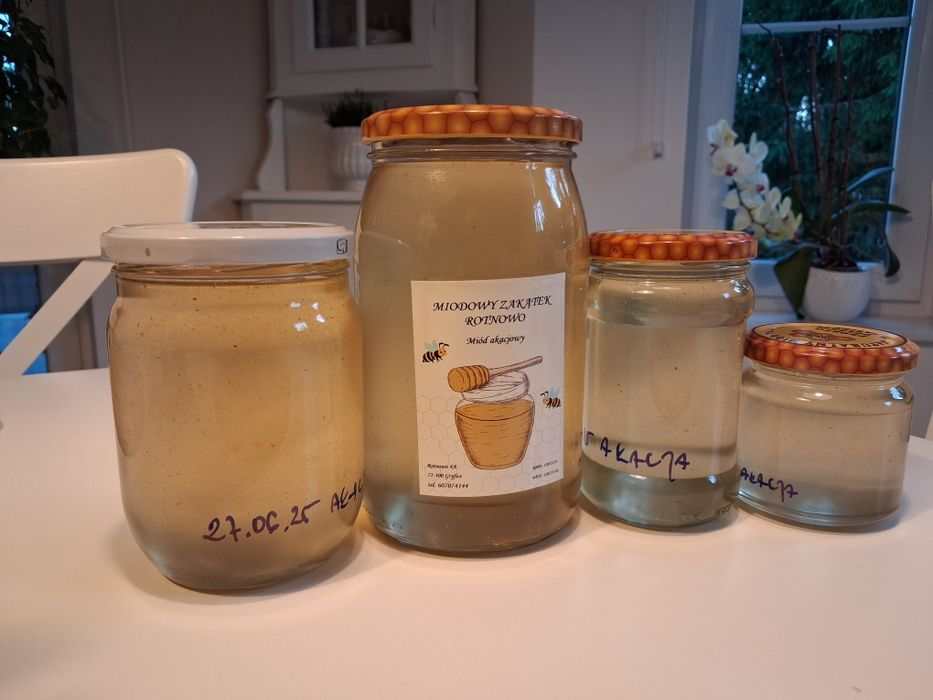 Miód akacjowy 2025r. Sloik 0.9l 1.2kg 50zl