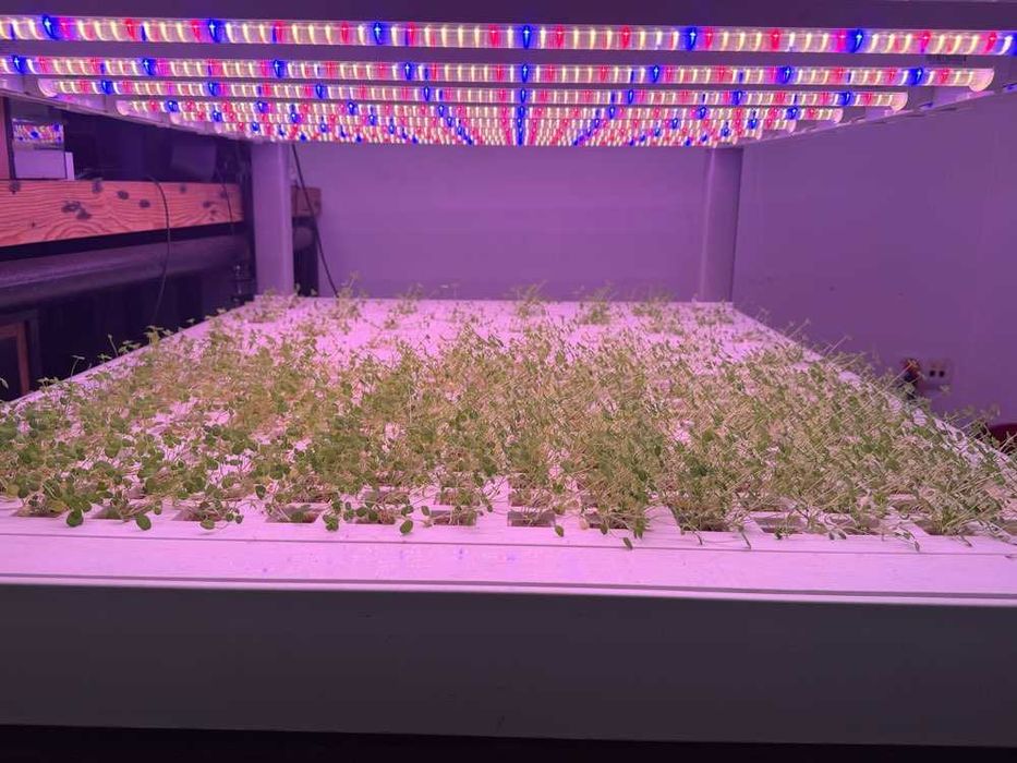 Szafa hydroponiczna do upraw wertykalnych SANANBIO RADIX Vertical Hydroponic Module 4-warstwowa led farm
