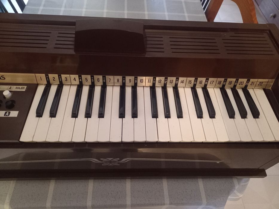 Órgão Magnus II antigo