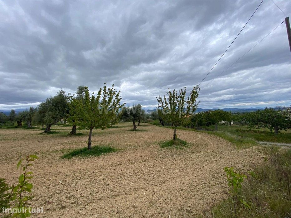 Terreno / Fundão, Fundão — Alcaria, Castelo Branco