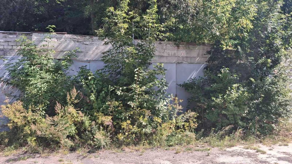 Гараж, м. Золочів, вул. Труша
