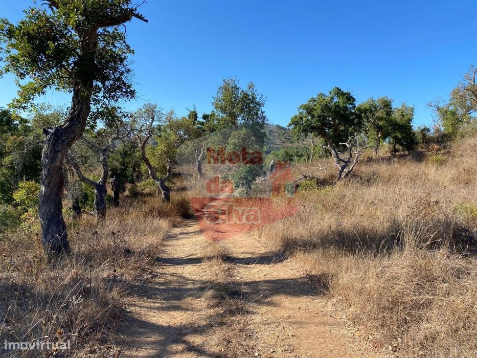 Terreno em São Francisco da Serra — São Francisco da Serra, Setúbal