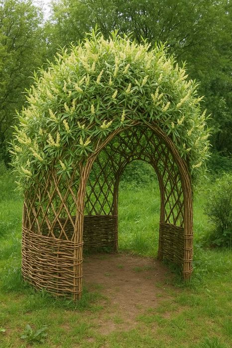 Altana, altanka z wierzby Salix Viminalis Gigant
