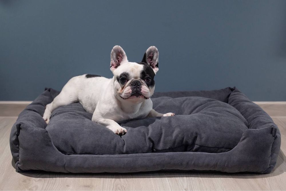 Лежанка, місце для собаки/кота