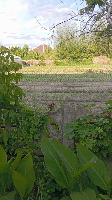 Продам кирпичный дом в Васищево