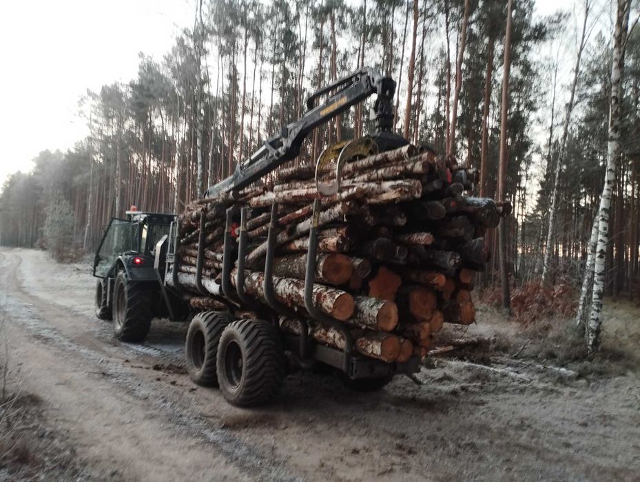 Wycinka drzew samosiejek REKULTYWACJA GRUNTÓW Zielona Góra +-60km