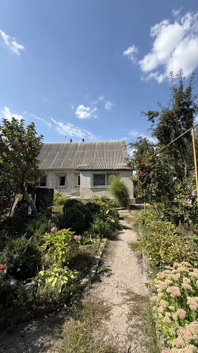 Продаж будинку 82 м² + 53,7 сот, газ,піч, свердловина, Київська обл, Брусилів, Малинівка