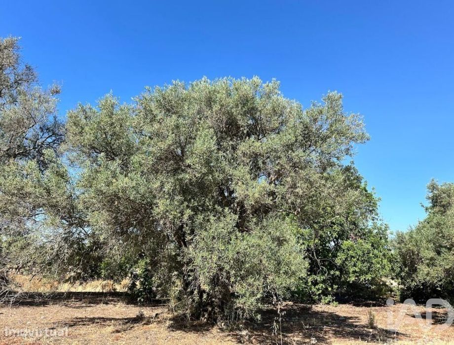 Terreno em Luz de Tavira e Santo Estêvão de 5570,00 m2