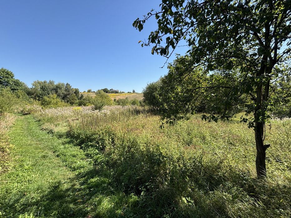 Продаж ділянка 28 сотих. Сілець. Світло. Газ. Вода. Асфальт. Будинки