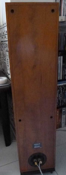 Colunas de Audiófilo - Dynaudio Audience 62