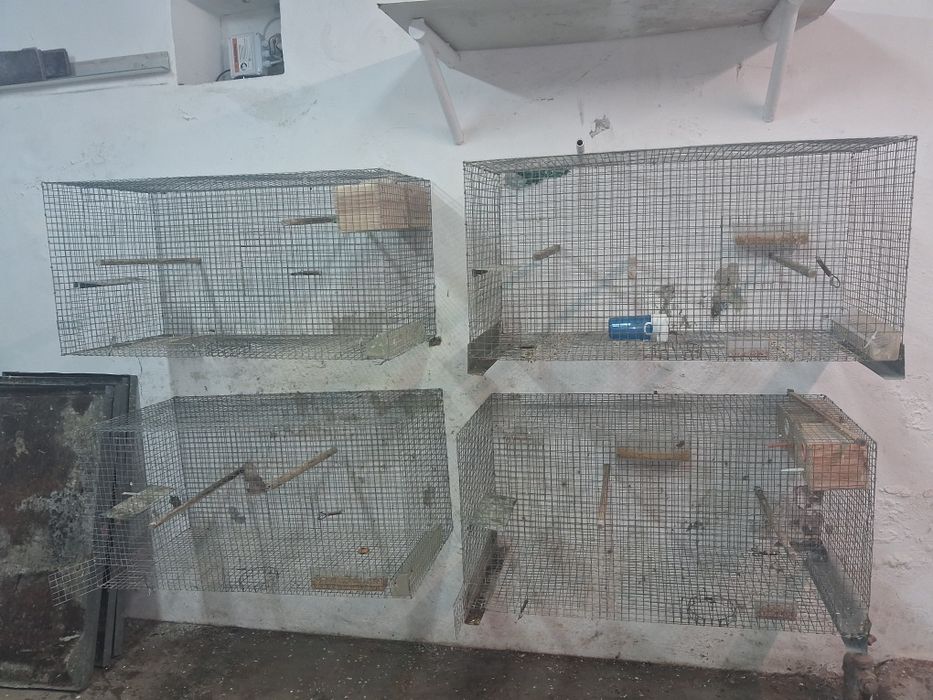 Vendo gaiolas  Bom preço