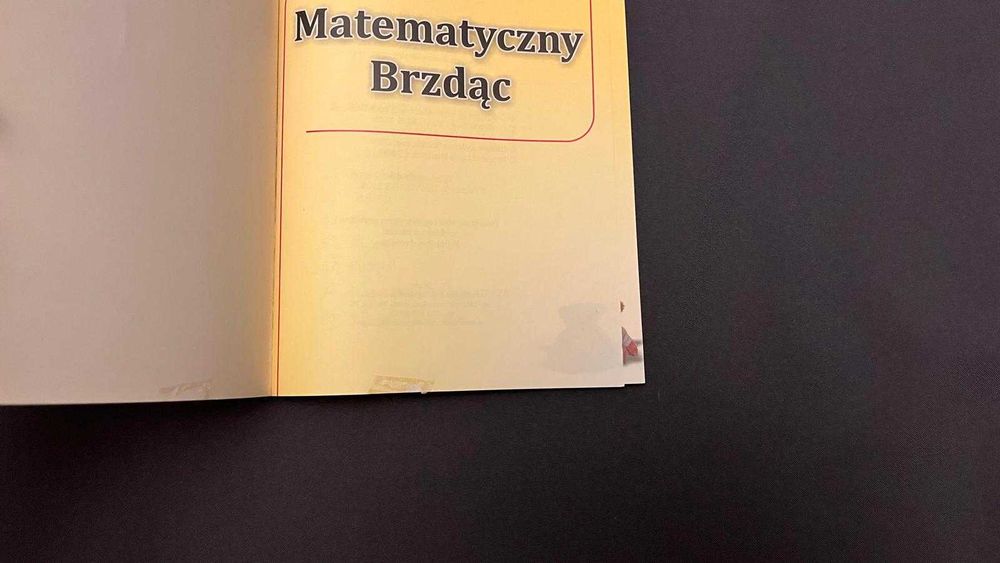 „Matematyczny Brzdąc”