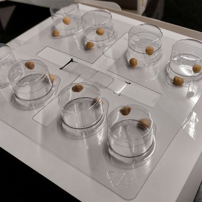 Harry Potter Mystery Flying Snitch