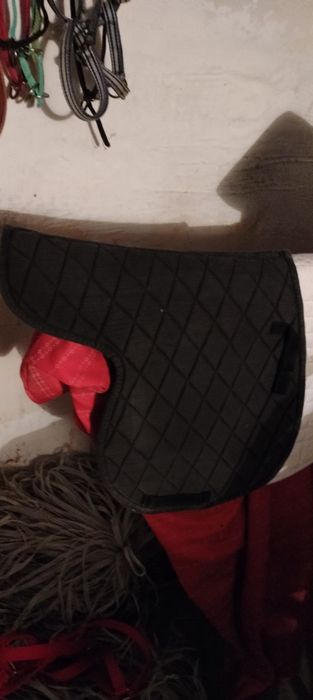 Sprzedam wędzidła czapraki